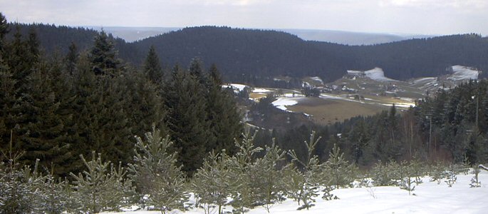 Blick vom Mosswaldkopf